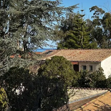 Location 6 Pers Les Marines De Bravone Apartament Linguizzetta