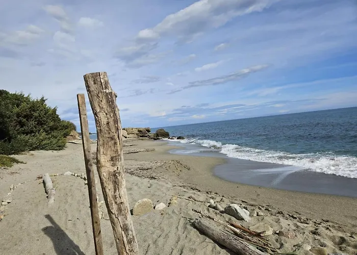 Location 6 Pers Les Marines De Bravone Linguizzetta