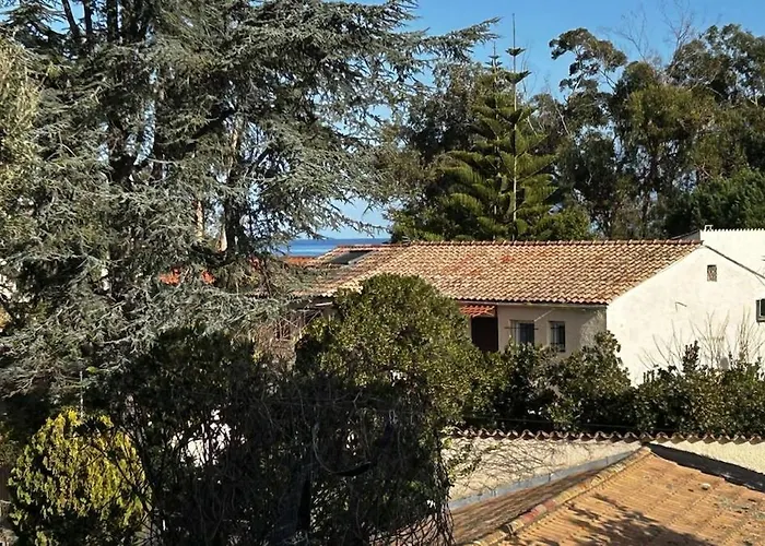 Location 6 Pers Les Marines De Bravone Apartment Linguizzetta